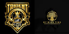 design creative a luxury gold foil  logo