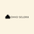 do professional minimalist logo design in 24 hours