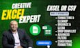 clean, organize, automate, and format excel or google sheets data with vba
