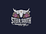 create attractive and imagination western logo design