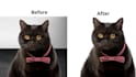 photo retouch, background removal and ai image manipulation