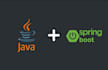 develop java spring boot backends, rest apis, graphql, grpc, and fix bugs