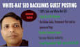 build white hat SEO backlinks on high da  DR websites