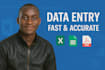 do excel , google sheets and PDF data entry  fast and accurate