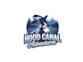 create wonderful and excellent whale logo design