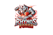 create professional and specially rhino logo design