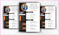 design infographic resume, CEO, cto, vp, director resume, or CV