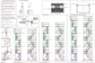design and calculate the scaffolding system for load and work