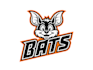 design a beautiful bat logo