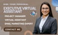 personal executive virtual assistant and social media content manager VA admin