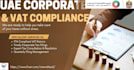 manage uae vat deregistration and penalty resolution