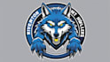 design wolf mascot logo with express deliver