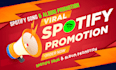 setup paid ads campaign for your spotify music promotion