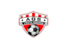 create professional and specially soccer  logo design