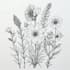 paint watercolour botanical illustrations