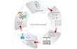 do scientific and biological illustrations