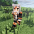 make you a minecraft skin