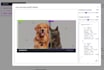 build full stack ai web apps with rag chatbots and  langgraph agents