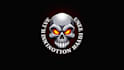 design skull mascot logo in high definition
