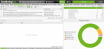 provide a professional audit report and action plan