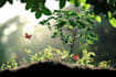 draw nature, science and culture