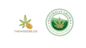 design a professional weed cannabis hemp weed logo