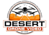 design a professional drone logo for your business