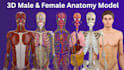 create professional 3d medical animation