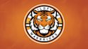 design tiger mascot logo with creative concepts