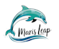 design a professional dolphin logo