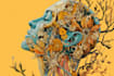 do botanical and anatomical scientific illustrations