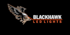 create a professional mascot eagle logo design