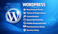 fix, design or redesign your wordpress website