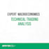 provide expert macro and trading analysis