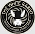 design awesome rabbit logo in 24 hours