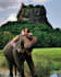 arrange your sri lanka trip