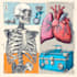 draw exercise, medical and anatomy illustrations