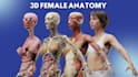 create professional 3d medical animation
