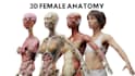 create professional 3d medical animation