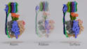 create 3d chemical structure animations for scientific presentations