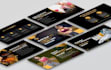 create canva, google slides, pitch deck, ms powerpoint presentations animation