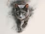 draw pet portrait and any wild animals
