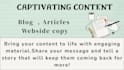 do SEO article writing website content or blog writing