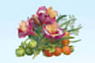 draw realistic plants, vegetables, fruits