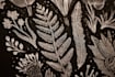 draw an animal and botanical illustration