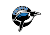 design a proffesional penguin logo