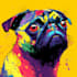 make pop art pet colorful