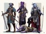 design character fantasy illustration for dnd party