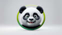 design panda mascot logo with my own creative thinking