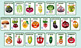 do kids card game, educational animal flashcards design memo card as a 2d artist